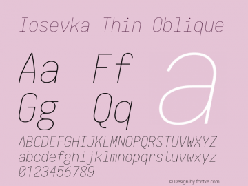 Iosevka Thin Oblique 1.13.1; ttfautohint (v1.6) Font Sample