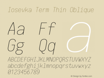 Iosevka Term Thin Oblique 1.13.1; ttfautohint (v1.6)图片样张