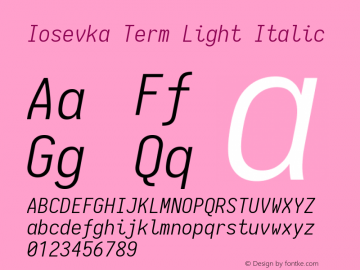 Iosevka Term Light Italic 1.13.1; ttfautohint (v1.6)图片样张