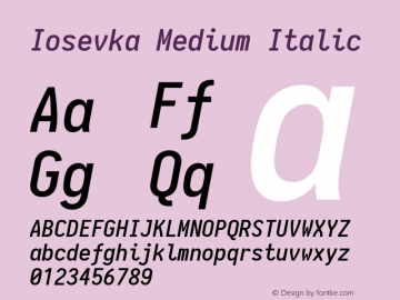 Iosevka Medium Italic 1.13.1; ttfautohint (v1.6)图片样张