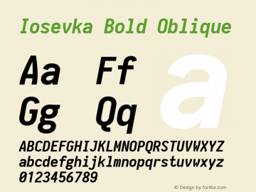 Iosevka Bold Oblique 1.13.1; ttfautohint (v1.6)图片样张