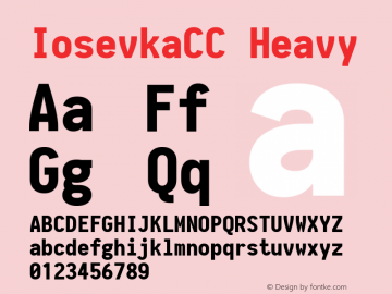 IosevkaCC Heavy 1.13.1; ttfautohint (v1.6) Font Sample