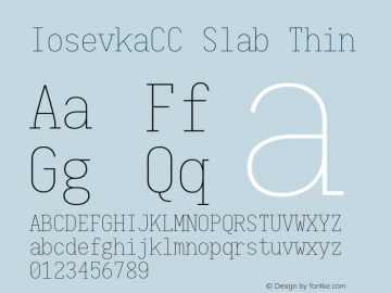 IosevkaCC Slab Thin 1.13.1; ttfautohint (v1.6) Font Sample