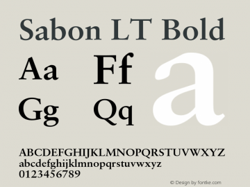 SabonLTBold Version 2.040;PS 002.000;hotconv 1.0.51;makeotf.lib2.0.18671 Font Sample