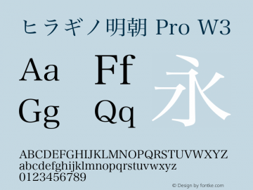 ヒラギノ明朝 Pro W3 13.0d2e9图片样张