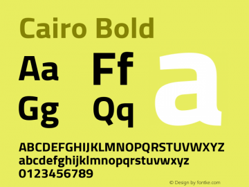 Cairo Bold Version 2.010; ttfautohint (v1.5.33-1714) -l 8 -r 50 -G 200 -x 0 -D latn -f arab -w G -W -c -X 