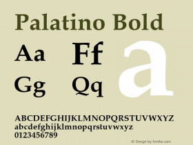 Palatino Bold 3.5a3图片样张