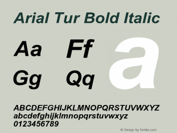 ArialTur-BoldItalic 001.005 Font Sample
