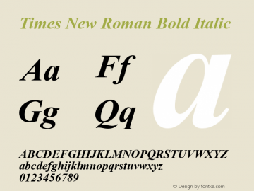 Times New Roman Bold Italic Version 6.98图片样张