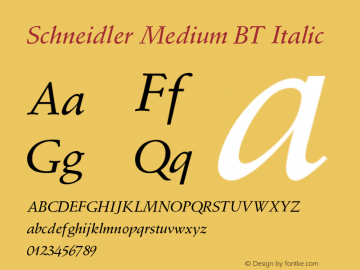 Schneidler Medium BT Italic V1.00图片样张