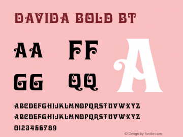 Davida Bold BT V1.00图片样张