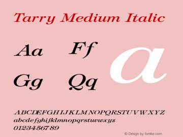 Tarry Medium Italic V1.00 Font Sample