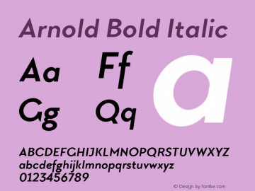 Arnold Bold Italic Version 1.00 April 30, 2017, initial release图片样张