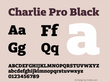 CharliePro-Black Version 1.0; 2014图片样张