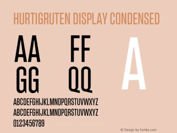 HurtigrutenDisplay-Condensed Version 1.000;PS 001.000;hotconv 1.0.88;makeotf.lib2.5.64775图片样张