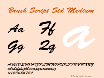 Brush Script Std Medium OTF 1.020;PS 001.003;Core 1.0.31;makeotf.lib1.4.1585 Font Sample