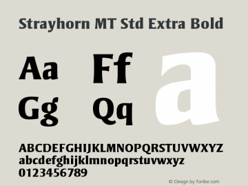 StrayhornMTStd-ExtraBold Version 2.040;PS 002.000;hotconv 1.0.51;makeotf.lib2.0.18671 Font Sample