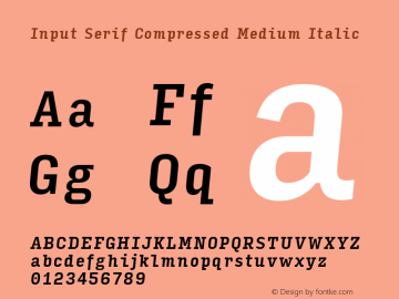 InputSerifCompressed MediumIta Version 0.000;PS 0.0;hotconv 1.0.72;makeotf.lib2.5.5900图片样张