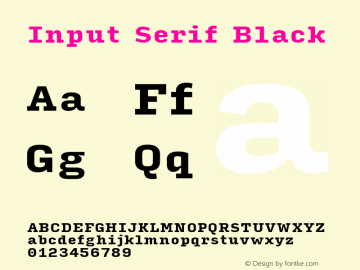 InputSerif Black Version 0.000;PS 0.0;hotconv 1.0.72;makeotf.lib2.5.5900; ttfautohint (v0.9)图片样张