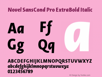 Novel SansCond Pro ExtraBold Italic 1.000 Font Sample