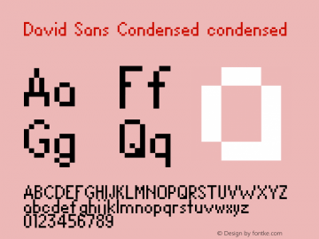 David Sans Condensed 1.00 Font Sample