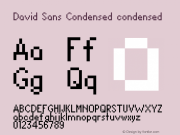 David Sans Condensed 1.00 Font Sample