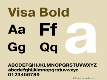 Visa-Bold Version 001.003图片样张