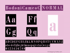 PT BodoniCameo Cyrillic Version 001.000图片样张