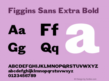 FigginsSansExtraBold Version 001.000 Font Sample