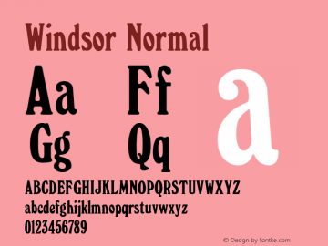 Windsor 3.1图片样张
