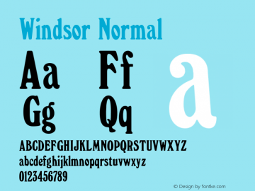 Windsor 3.1 Font Sample