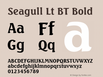 Seagull Bold BT mfgpctt-v1.52 Monday, January 25, 1993 3:26:06 pm (EST)图片样张