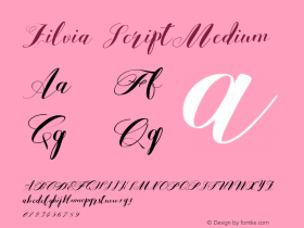 Zilvia Script Version 1.000 Font Sample