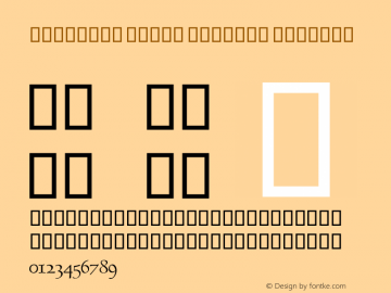 DecoType Naskh Special Version 2.00图片样张