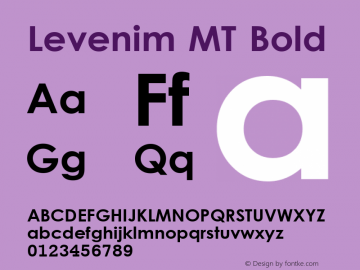 Levenim MT Bold Version 1.00 Font Sample