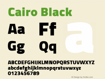 Cairo-Black Version 2.009; ttfautohint (v1.5.33-1714) -l 8 -r 50 -G 200 -x 0 -D latn -f arab -w G -W -c -X 