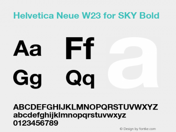 Helvetica Neue W23 for SKY Bd Version 1.00 Font Sample