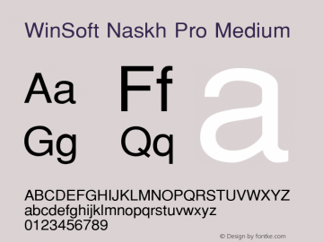WinSoft Naskh Pro Medium Version 1.0图片样张