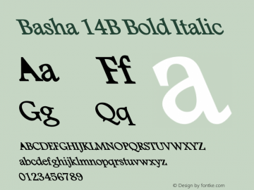 Basha 14B Bold Italic Version 1.00 October 6, 2007, initial release图片样张