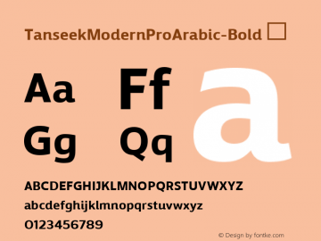 ☞Tanseek Modern Pro Arabic Bold Version 1.000;com.myfonts.easy.mti.tanseek-modern.pro-bold.wfkit2.version.3N3E Font Sample