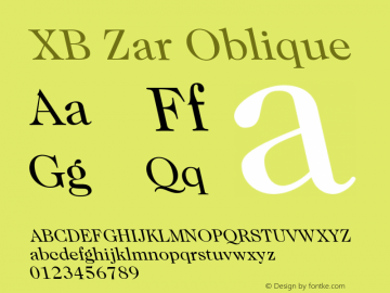 XB Zar Oblique Version 8.005 2009图片样张