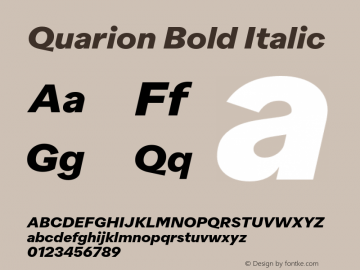 Quarion-BoldItalic Version 1.000 | wf jerry Font Sample