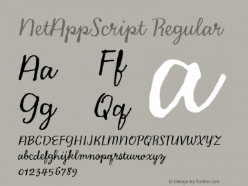 NetAppScript Version 1.000 Font Sample