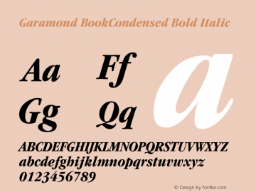 ITC Garamond Bold Condensed Italic Converter: Windows Type 1 Installer V1.0d.￿Font: V1.0图片样张