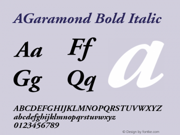 Adobe Garamond Bold Italic Converter: Windows Type 1 Installer V1.0d.￿Font: V1.2图片样张
