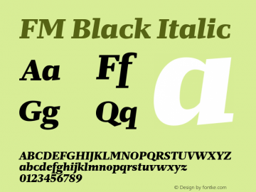 FM Black Italic Version 1.001;PS 1.1;hotconv 1.0.88;makeotf.lib2.5.647800; ttfautohint (v1.4)图片样张