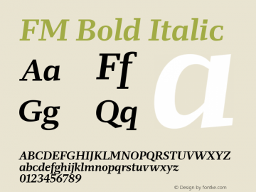 FM Bold Italic Version 1.001;PS 1.1;hotconv 1.0.88;makeotf.lib2.5.647800; ttfautohint (v1.4)图片样张