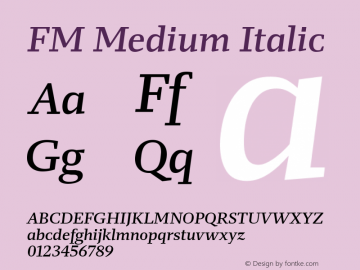 FM Medium Italic Version 1.001;PS 1.1;hotconv 1.0.88;makeotf.lib2.5.647800; ttfautohint (v1.4)图片样张