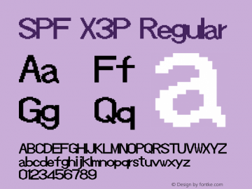 SPF X3P Version 1.02图片样张