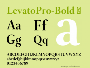 ☞Levato Pro Bold Version 1.00;com.myfonts.linotype.levato-pro.bold.wfkit2.43JU图片样张